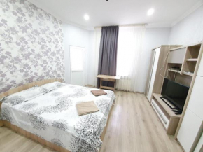 Tourist Home at Stefan cel Mare with 2 rooms